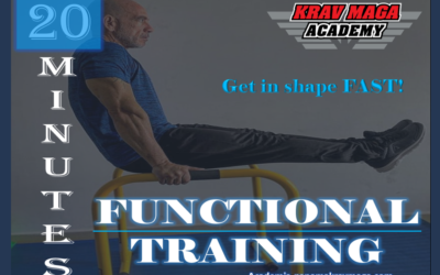 Krav Maga Functional Training Vol. 1  ( 20 minutes Rountine )